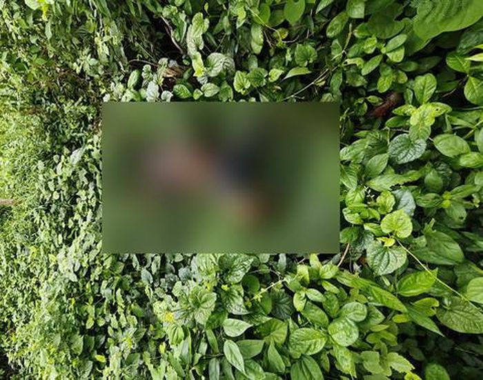 Thi thể nạn nhân được phát hiện. Ảnh: Anh Tầm.