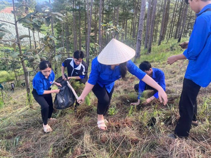 Tuổi trẻ Lâm Đồng đã hăng hái tham gia các phong trào tình nguyện, như trồng rừng góp phần gìn giữ môi trường sống xanh – sạch – đẹp