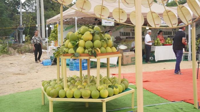 Giá trị của cây thanh trà không chỉ nằm ở sản phẩm thu hoạch