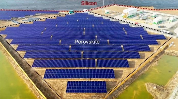 Hệ thống điện mặt trời perovskite 1 MW tại Trung Quốc vận hành ổn định và vượt silicon trong điều kiện nắng nóng. (Ảnh: Nanjing University)