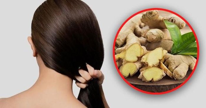 Gừng có tính kháng nấm mạnh, giúp tiêu diệt vi khuẩn và nấm men gây gàu. Ngoài ra, gừng còn làm dịu vùng da đầu bị ngứa, bong tróc.