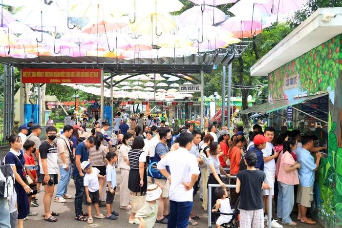 Từ sáng sớm, khu vực cửa bán vé đã đông nghịt người xếp hàng