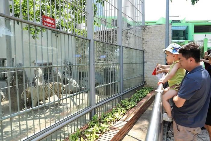 Các em nhỏ hào hứng khám phá thế giới động vật trong chuyến vui chơi cùng gia đình dịp Quốc khánh