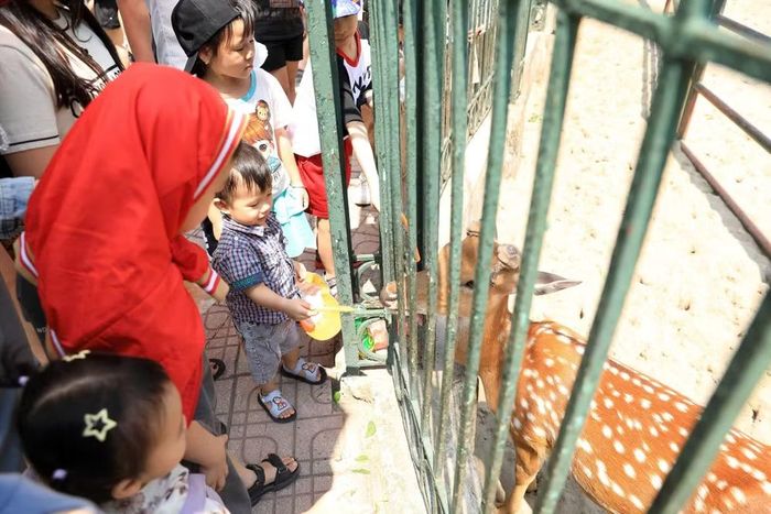 Nhiều em nhỏ tỏ ra thích thú trước những loài động vật vốn chỉ được biết đến qua sách báo, truyền hình