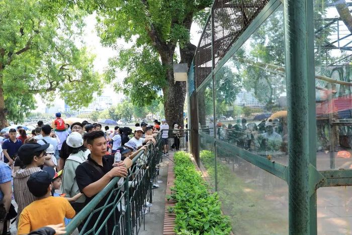 Không chỉ trẻ em mà ngay cả người lớn cũng chú ý quan sát các thú nuôi ở đây