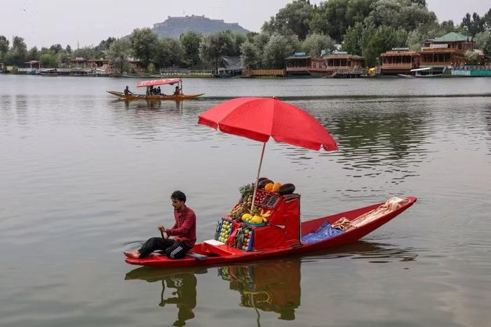 Hồ Dal ở Srinagar, thủ phủ mùa hè của vùng Kashmir khu vực thuộc Ấn Độ