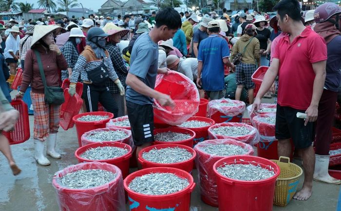 Ngư dân xã Tam Xuân trúng đậm trong chuyến biển dịp nghỉ lễ Quốc khánh 2/9 năm nay