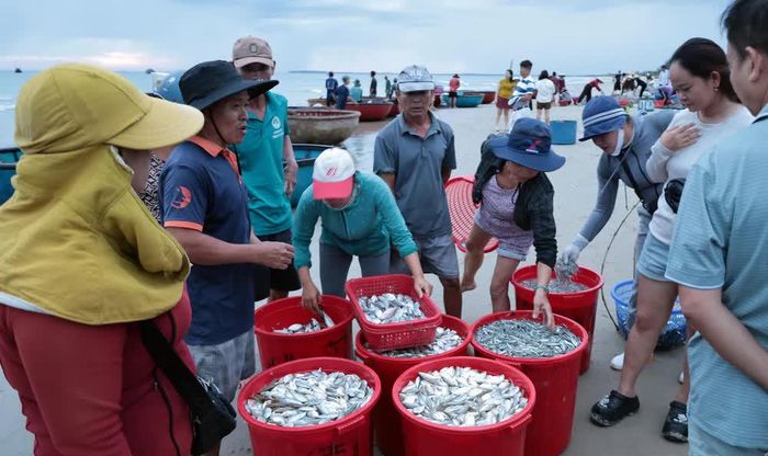 Ngư dân xã Tam Xuân trúng đậm trong chuyến biển dịp nghỉ lễ Quốc khánh 2/9 năm nay.