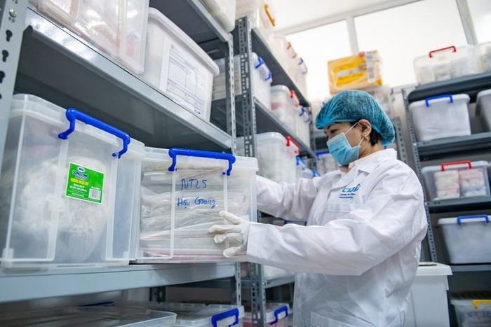 Bảo quản mẫu xương liệt sĩ tại Trung tâm Giám định ADN – Viện Sinh học (Viện Hàn lâm Khoa học và Công nghệ Việt Nam) - Ảnh: VAST
