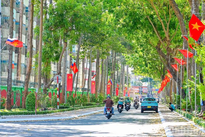 Sắc đỏ rực rỡ phủ kín các tuyến đường.