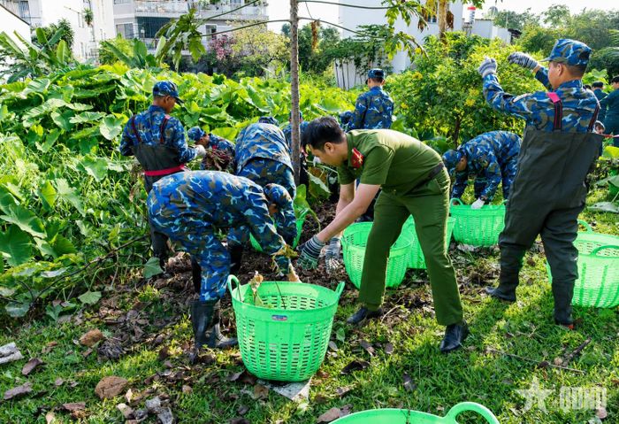Tuổi trẻ Sư đoàn 367 (Quân chủng Phòng không-Không quân) cùng tuổi trẻ Công an TP Hồ Chí Minh tham gia Chương trình “Ngày chủ nhật xanh” tại tuyến rạch Bà Miêng, phường An Hội Đông, TP Hồ Chí Minh.