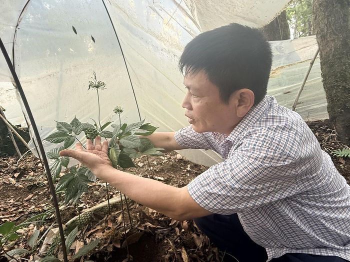 Các mô hình sản xuất thông minh theo chuỗi giá trị, ứng dụng tiến bộ khoa học công nghệ trong lĩnh vực nông nghiệp được đẩy mạnh (ảnh Vân Anh)
