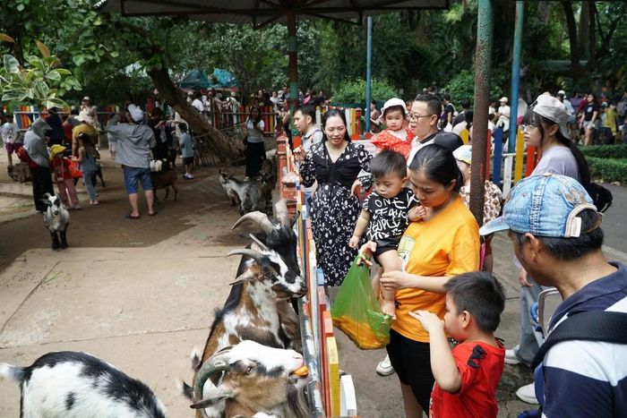 Thảo Cầm Viên cũng thu hút nhiều bạn trẻ đến tham quan