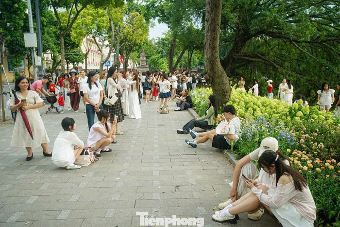 Lượng người đến chụp ảnh khá đông khiến nhiều người phải chờ đến lượt để có góc chụp thuận lợi, đồng thời hạn chế việc giẫm lên các luống hoa.