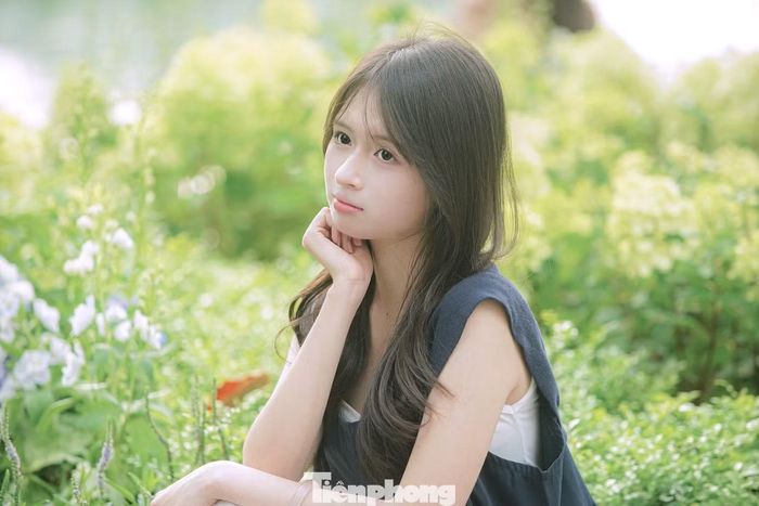Nhiều bạn trẻ chọn góc chụp ở tầm thấp để làm nổi bật những chùm cẩm tú cầu đang nở rộ.
