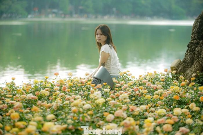 Bên cạnh cẩm tú cầu, nhiều loại hoa khác như hoa hồng, cúc và các loài hoa theo mùa cũng đang đồng loạt nở rộ. Các bồn hoa được chăm sóc, bố trí thành từng dải màu sắc, góp phần làm nổi bật cảnh quan khu vực hồ Hoàn Kiếm trong dịp nghỉ lễ 2/9.