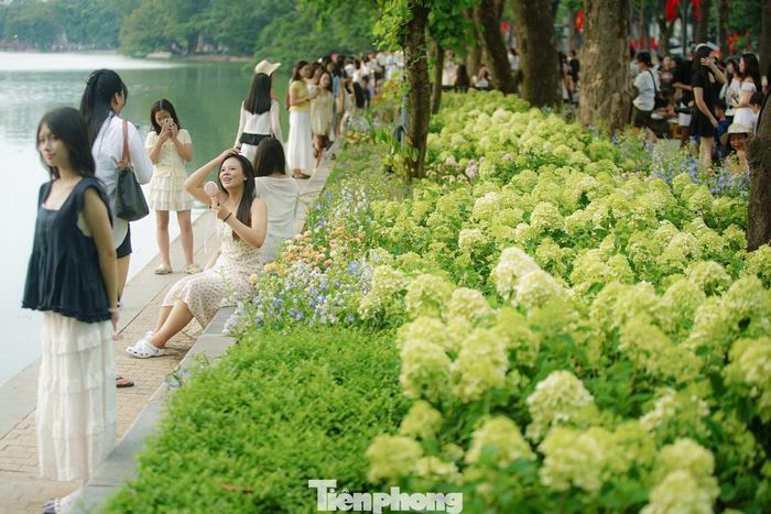 Theo ghi nhận của phóng viên, nhiều bạn trẻ đầu tư trang phục, phụ kiện để có những bức ảnh đẹp. Phần lớn cho biết họ biết đến điểm check-in này thông qua các nền tảng mạng xã hội như Facebook, TikTok.