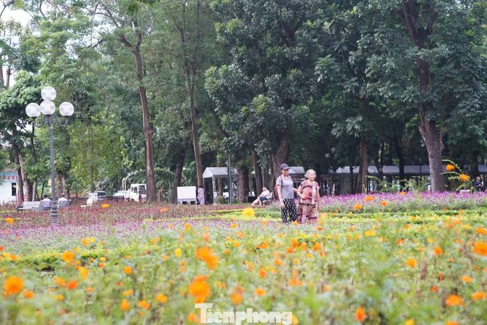 Người dân dạo bộ giữa các thảm hoa trong khuôn viên công viên.