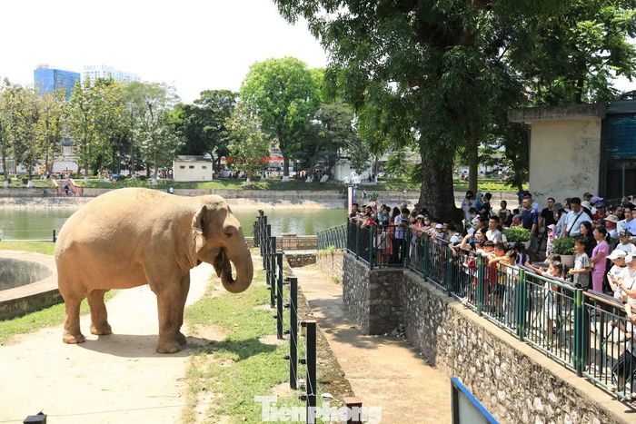 Ngay từ sáng, lượng khách đến Công viên Thủ Lệ tăng cao, nhiều thời điểm người dân xếp hàng vào khu vực tham quan.