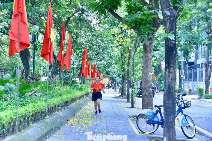 Người dân chạy bộ, tập thể dục dưới hàng cây trên phố Nhà Chung (phường Hoàn Kiếm).