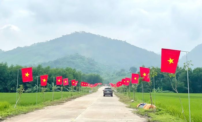 Hơn 500 lá cờ được lắp đặt hai bên tuyến đường.