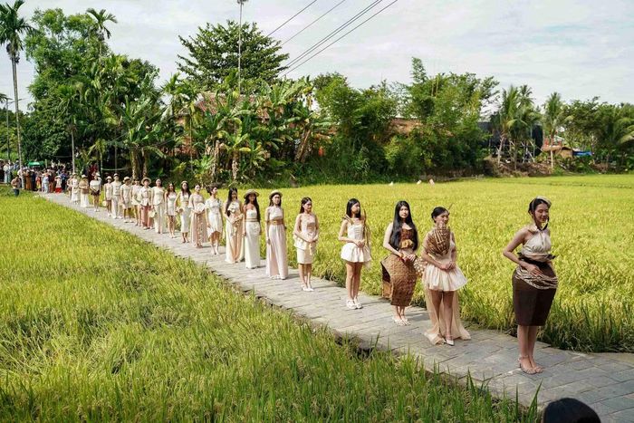Lối đi uốn lượn giữa cánh đồng lúa chín đã trở thành "sàn diễn tự nhiên" đầy cảm xúc