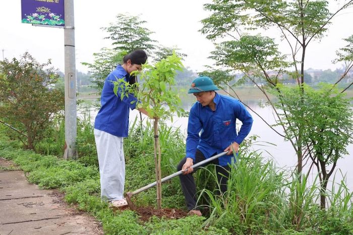 Đoàn viên, thanh niên Phú Thọ trồng mới cây xanh trong Ngày Chủ nhật xanh. Ảnh: TĐPT