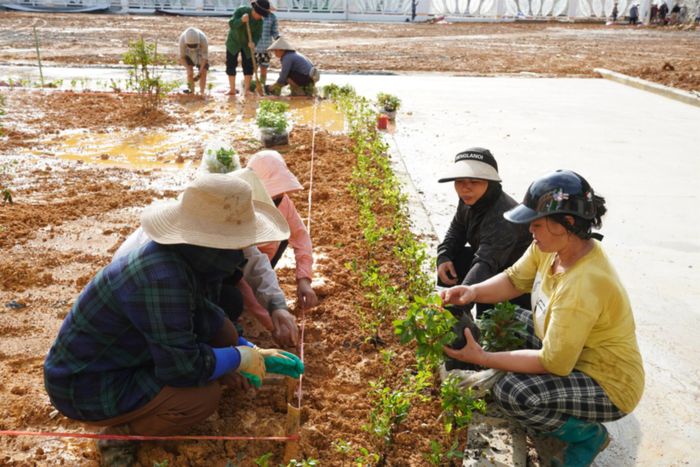 Hội Phụ nữ, phụ huynh và giáo viên cùng quét dọn, trồng hoa trong khuôn viên trường học. Ảnh: Bùi Đông