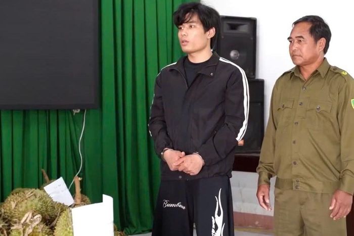 Tăng Ngọc Hiền bị bắt giữ sau khi cắt trộm 1,6 tấn sầu riêng. Ảnh: QD