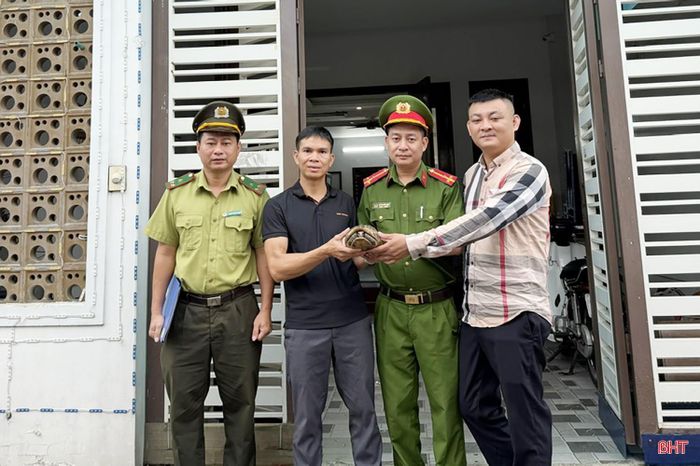 Cá thể rùa vàng được lực lượng chức năng chăm sóc trước khi tái thả về môi trường tự nhiên.