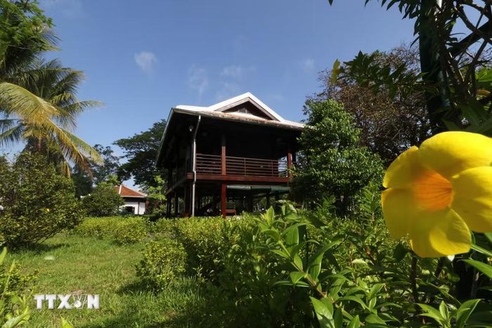 Nhà sàn là công trình thể hiện niềm kính yêu vô hạn của đồng bào miền Nam đối với Bác. (Ảnh: Hồng Thái/TTXVN)