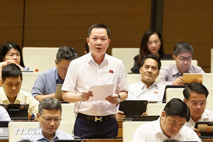 Đại biểu Trịnh Xuân An (đoàn Đồng Nai). (Ảnh: TTXVN)