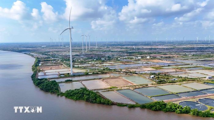 Vùng nuôi tôm siêu thâm canh 280 ha ở Cần Thơ. (Ảnh: Thanh Liêm/TTXVN)