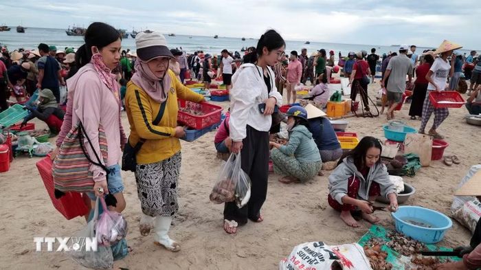 Du khách lựa chọn mua nhiều hải sản tươi sống tại chợ cá Tam Tiến trong dịp nghỉ lễ. (Ảnh: Đỗ Trưởng/TTXVN)