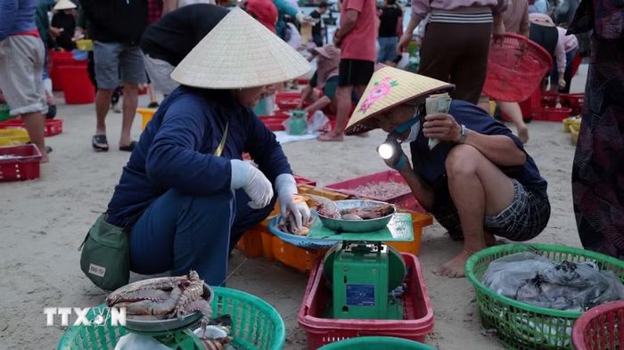 Những con tôm biển to được chào bán ngay tại chợ cá Tam Tiến. (Ảnh: Đỗ Trưởng/TTXVN)