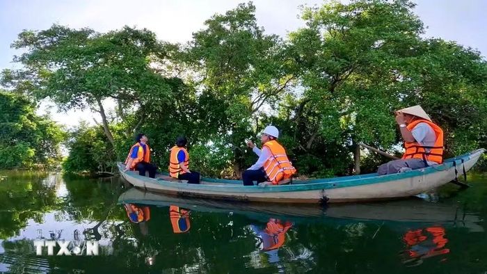 Thời gian gần đây, lượng du khách đến trải nghiệm rừng ngập mặn ngày càng nhiều. (Ảnh: Đinh Hương/TTXVN)