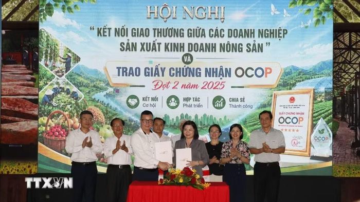Đại diện các đơn vị ký kết hợp tác. (Ảnh: Nhật Bình/TTXVN)