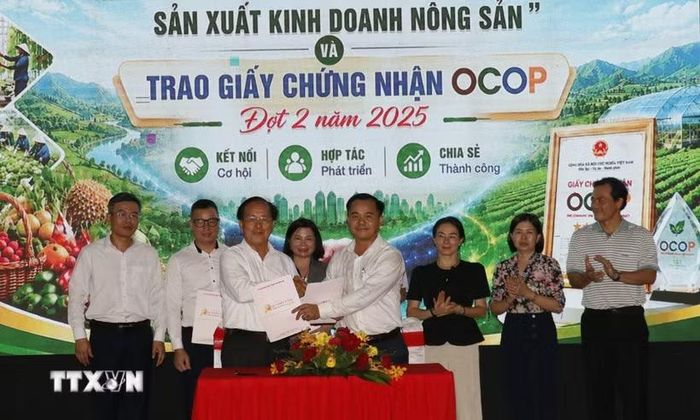 Đại diện các doanh nghiệp, hợp tác xã tham gia ký kết giao thương. (Ảnh: Nhật Bình/TTXVN)