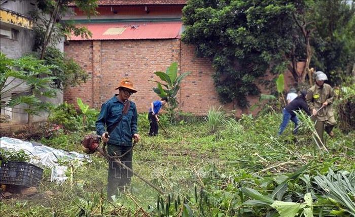Lực lượng y tế, chính quyền địa phương và người dân xã Biển Hồ (Gia Lai) ra quân phát quang bụi rậm, vệ sinh môi trường, loại bỏ nơi sinh sản của muỗi truyền bệnh sốt xuất huyết.