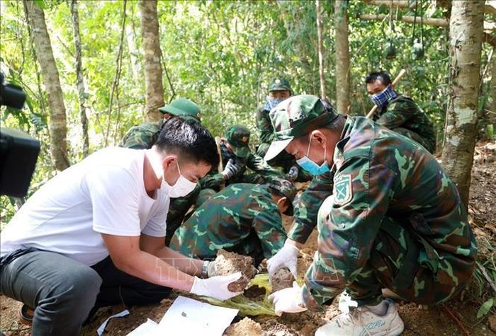 Đội Tìm kiếm, quy tập hài cốt liệt sĩ, Bộ Chỉ huy Quân sự tỉnh Khánh Hòa kiểm tra kỹ từng mẫu đất để tìm kiếm hài cốt liệt sĩ. Ảnh: Xuân Triệu/TTXVN