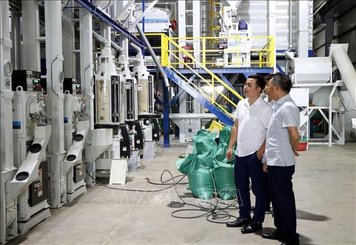 Dây chuyền sản xuất gạo chất lượng cao của Công ty TNHH Cường Tân, xã Ninh Cường (Ninh Bình).