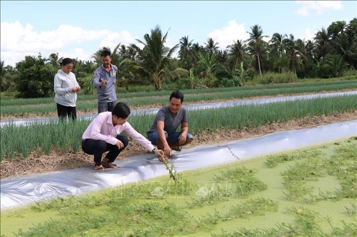 Người dân xã Phong Thạnh, tỉnh Vĩnh Long được tiếp cận nguồn vốn tín dụng chính sách để đầu tư phát triển sản xuất, tạo sinh kế và nâng cao thu nhập.