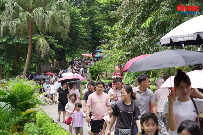 Vườn thú Hà Nội thu hút đông đảo du khách trong dịp nghỉ lễ Quốc khánh 2/9.