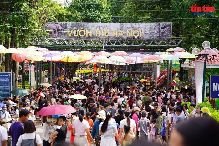 Từ sáng sớm 1/9, khu vực cổng vào và bán vé đã nhộn nhịp, nhiều gia đình đưa trẻ nhỏ đến tận hưởng kỳ nghỉ.