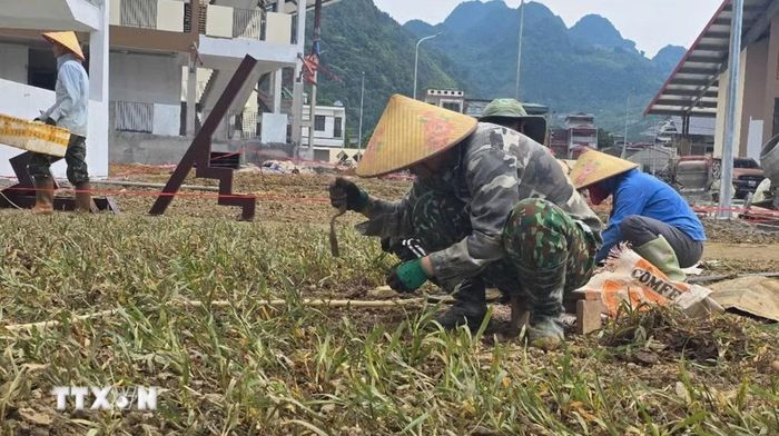 Các công nhân làm việc liên tục "3 ca, 4 kíp" nỗ lực hoàn thành những hạng mục cuối cùng của Trường Phổ thông nội trú Tiểu học và Trung học cơ sở Mường Khương, sẵn sàng đón học sinh trong năm học mới. Ảnh: Hương Thu/TTXVN