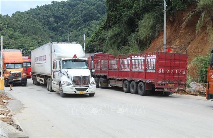 Phương tiện chở hàng xuất khẩu qua đường chuyên dụng khu vực mốc 1088/2-1089 (Tân Thanh - Pò Chài).