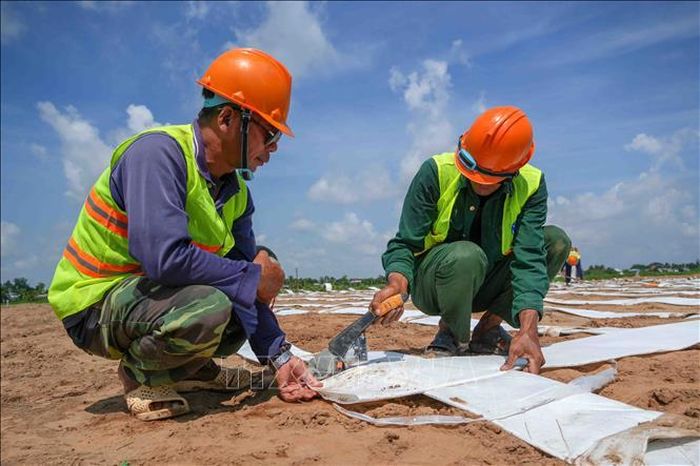 Công nhân trải vật liệu xử lý, gia cố nền đất yếu tại gói thầu số 1, dự án thành phần 2 cao tốc Châu Đốc - Cần Thơ - Sóc Trăng, đoạn giáp ranh tỉnh An Giang.