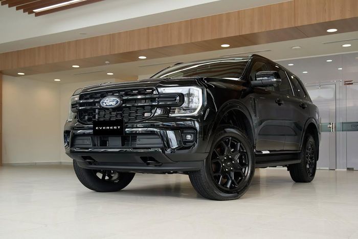 Ford Everest là một trong những mẫu xe 7 chỗ được nhiều gia đình Việt quan tâm.