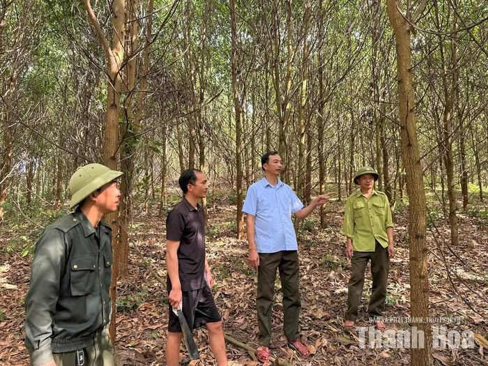Cán bộ, nhân viên Trạm BVR, cùng phòng chuyên môn của Ban Quản lý rừng phòng hộ Như Thanh phối hợp với người dân kiểm tra rừng.