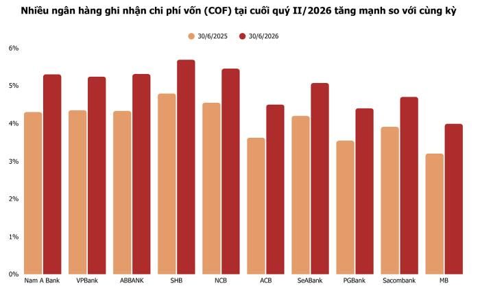   Ảnh: T.D tổng hợp từ BCTC 